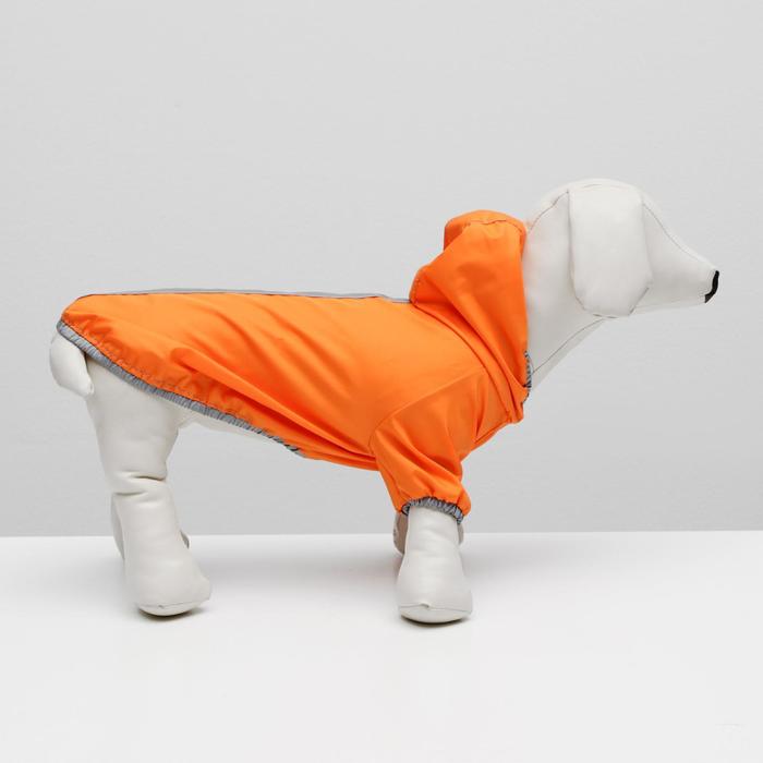 фото Куртка-ветровка для животных, светоотражающая, xs (дс 18-20, ош 22-24, ог 29-30 см), оранжевая 73319 пижон