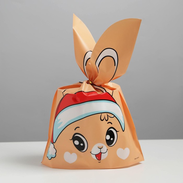 Мешок подарочный «Зайка», 21 х 33 см
Мешок подарочный «Зайка», 21 х 33 см