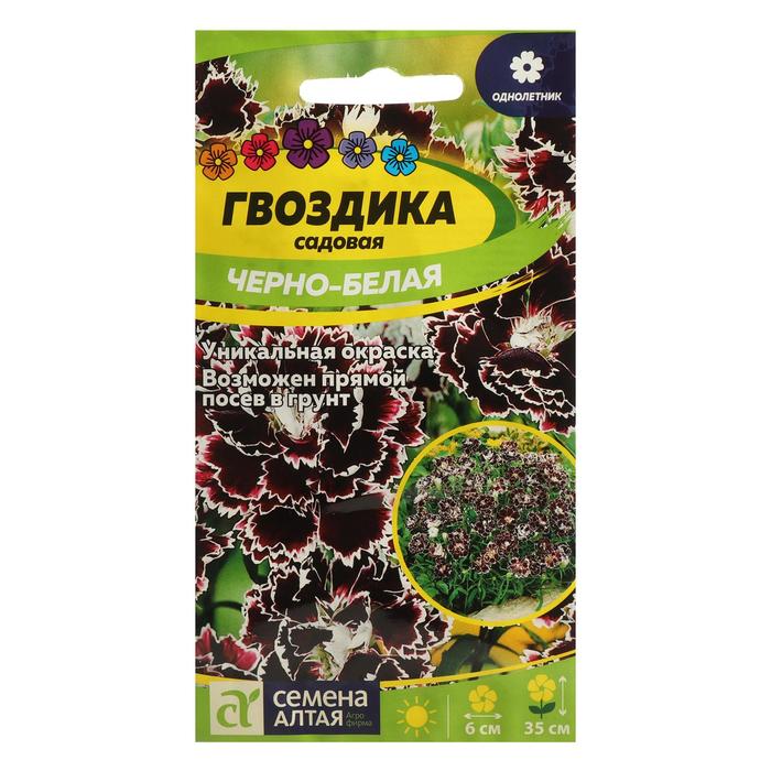 Семена цветов Гвоздика "Черно-белая геддевига", Сем. Алт, ц/п, 0,04 г
Семена цветов Гвоздика "Черно-белая геддевига", Сем. Алт, ц/п, 0,04 г
