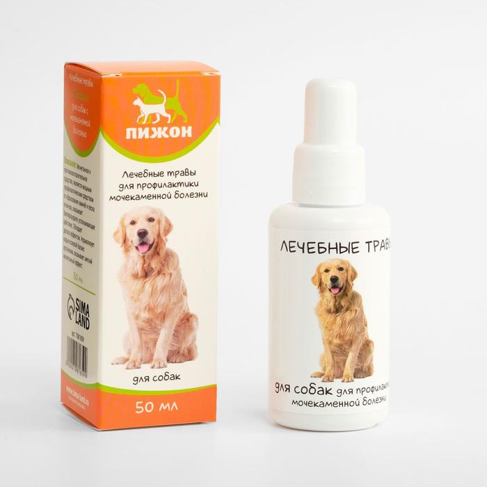 Лечебные травы "Пижон" для собак с мочекаменной болезнью, 50 мл
Лечебные травы "Пижон" для собак с мочекаменной болезнью, 50 мл