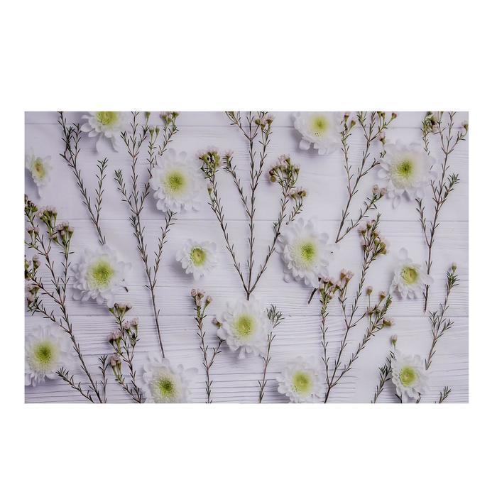 Фотофон винил "Хризантемы белые" 120х80 см 
Фотофон винил "Хризантемы белые" 120х80 см