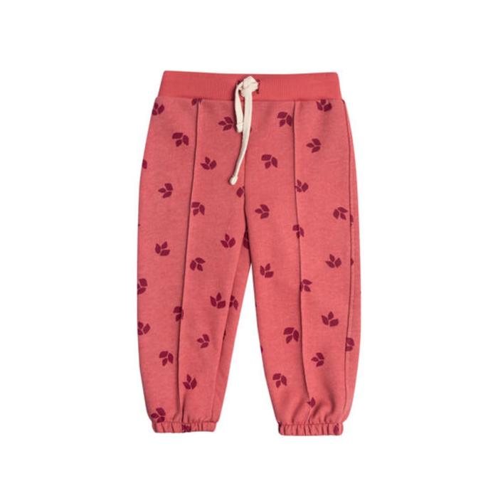 Брюки для девочки, рост 80 см, цвет терракотовый
Брюки для девочки, рост 80 см, цвет терракотовый