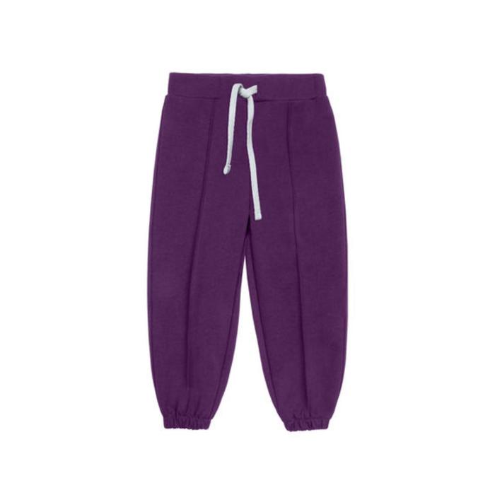 Брюки для девочки, рост 86 см, цвет фиолетовый
Брюки для девочки, рост 86 см, цвет фиолетовый