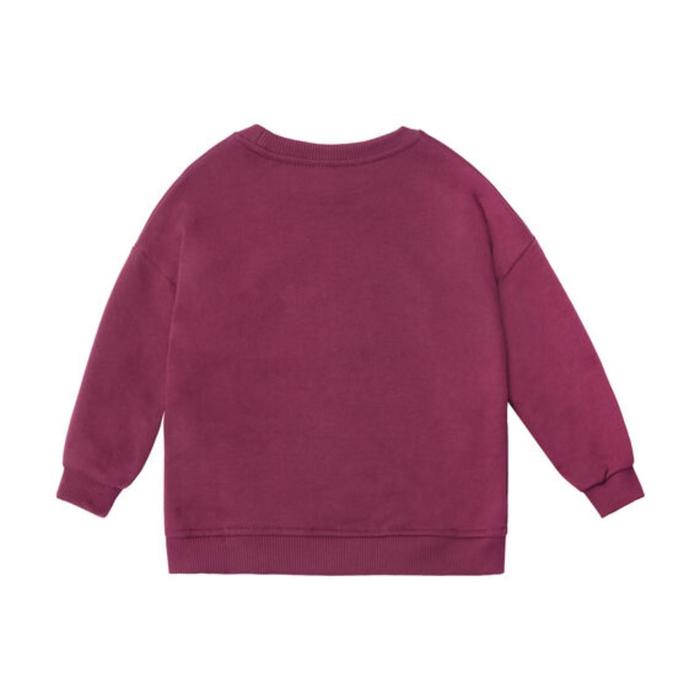 Свитшот для девочки, рост 98 см, цвет бордовый
Свитшот для девочки, рост 98 см, цвет бордовый