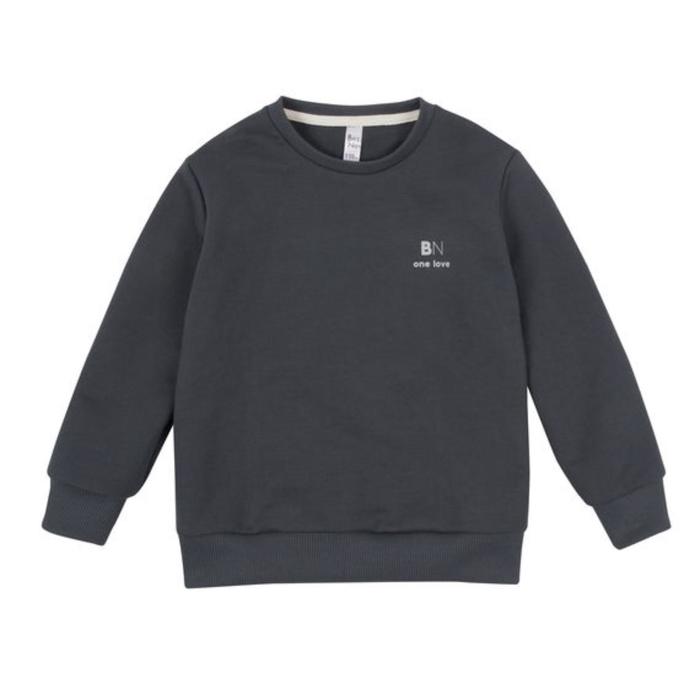 Свитшот для мальчика Basic, рост 116 см, цвет графитовый
Свитшот для мальчика Basic, рост 116 см, цвет графитовый