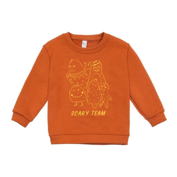 Свитшот для мальчика, рост 98 см, цвет кирпичный
Свитшот для мальчика, рост 98 см, цвет кирпичный