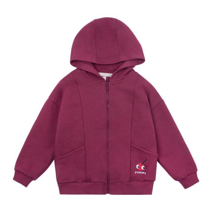 Толстовка с капюшоном для девочки, рост 104 см, цвет бордовый
Толстовка с капюшоном для девочки, рост 104 см, цвет бордовый