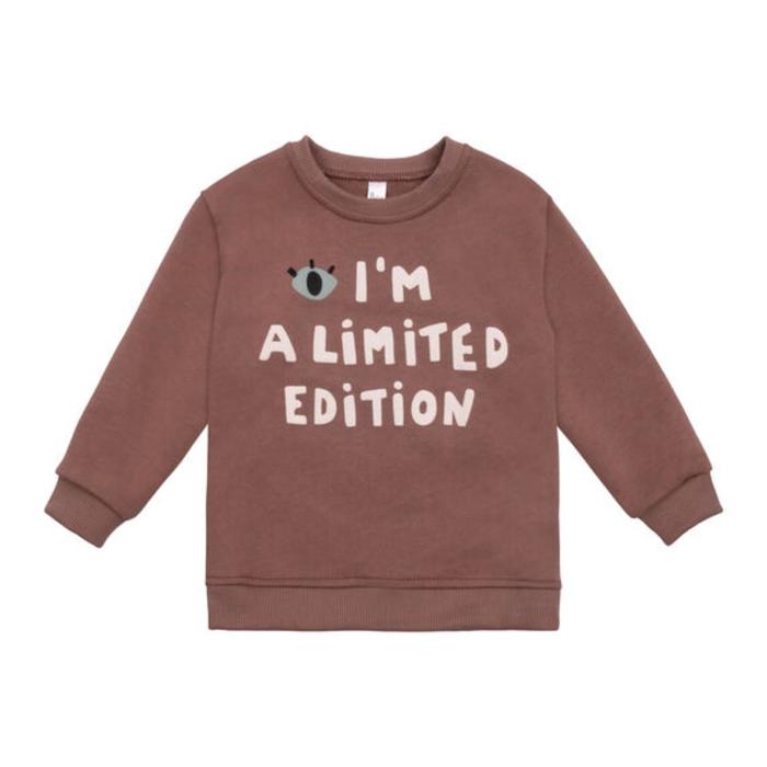 Свитшот для мальчика, рост 80 см, цвет коричневый
Свитшот для мальчика, рост 80 см, цвет коричневый