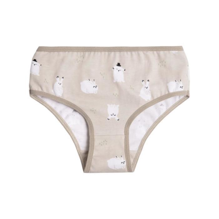 Трусы для девочки Toys, рост 146-152 см, цвет бежевый
Трусы для девочки Toys, рост 146-152 см, цвет бежевый