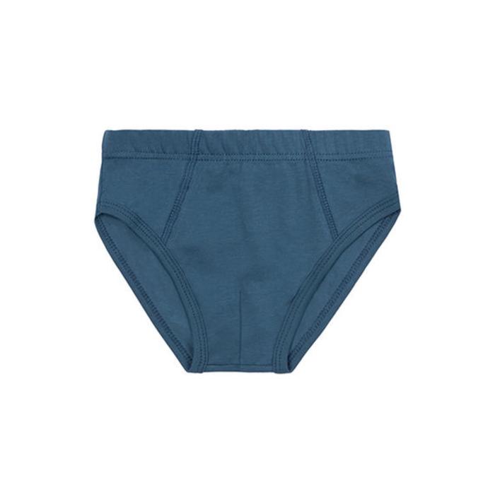 Трусы для мальчика Toys, рост 110-116 см, цвет морская волна
Трусы для мальчика Toys, рост 110-116 см, цвет морская волна