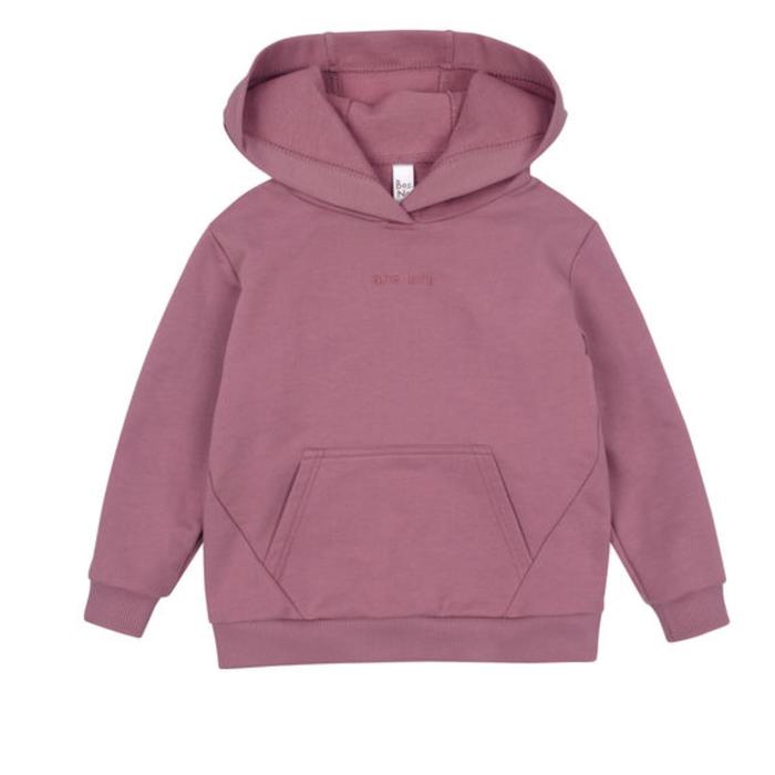 Худи для девочки Basic, рост 104 см, цвет сиреневый
Худи для девочки Basic, рост 104 см, цвет сиреневый