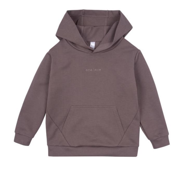 Худи для мальчика Basic, рост 146 см, цвет коричневый
Худи для мальчика Basic, рост 146 см, цвет коричневый