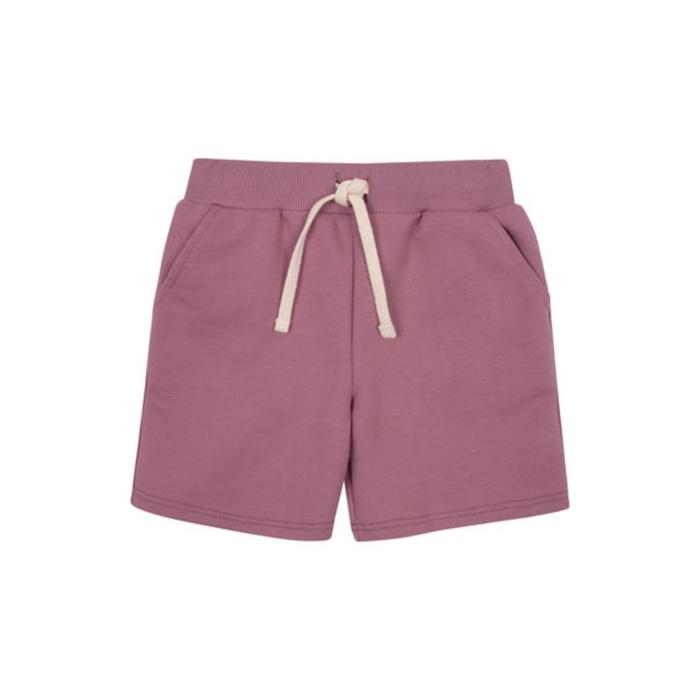 Шорты для девочки Basic, рост 104 см, цвет сиреневый
Шорты для девочки Basic, рост 104 см, цвет сиреневый
