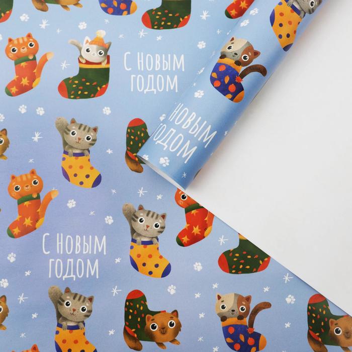 Бумага упаковочная глянцевая «Коты в носках», 70 х 100 см
Бумага упаковочная глянцевая «Коты в носках», 70 х 100 см