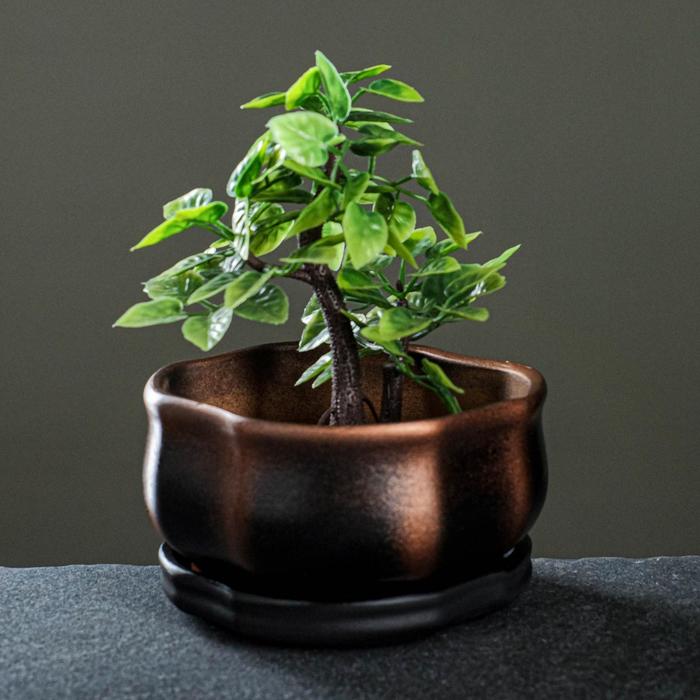 Фигурное кашпо «Лилия» 0 85 л/ 9х15см черное/ медь
Фигурное кашпо «Лилия» 0 85 л/ 9х15см черное/ медь