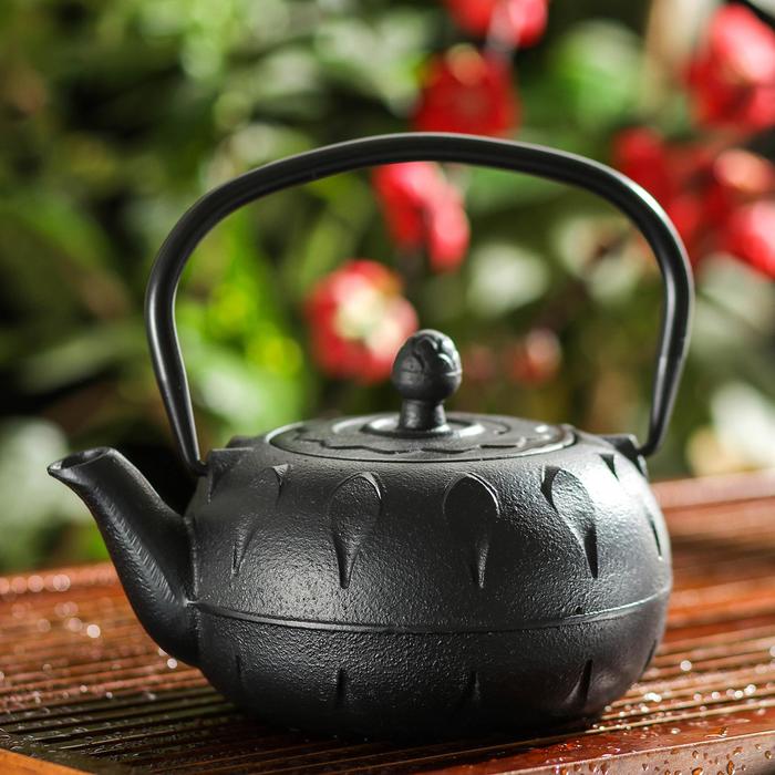 Чайник с ситом «Курои», 500 мл, цвет чёрный
Чайник с ситом «Курои», 500 мл, цвет чёрный