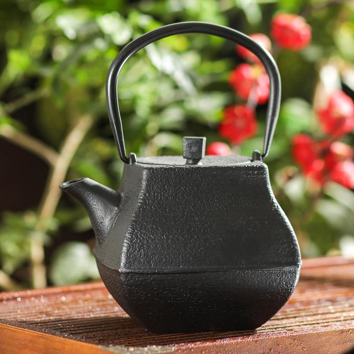 Чайник с ситом «Кураи», 1,3 л, цвет чёрный
Чайник с ситом «Кураи», 1,3 л, цвет чёрный