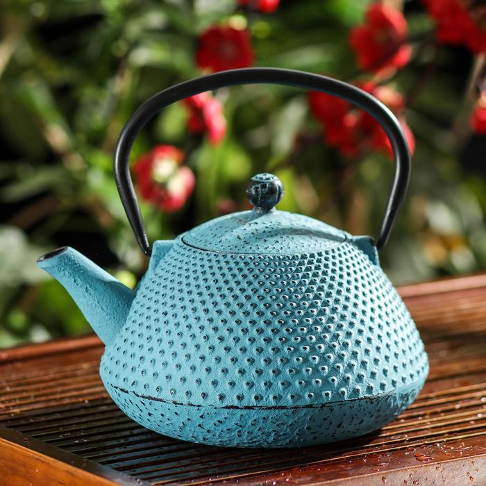 Чайник с ситом «Амэ», 800 мл, цвет синий
Чайник с ситом «Амэ», 800 мл, цвет синий