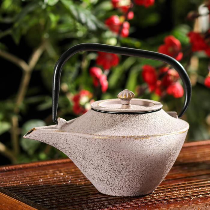 Чайник с ситом «Нагаи», 650 мл, цвет розовый
Чайник с ситом «Нагаи», 650 мл, цвет розовый