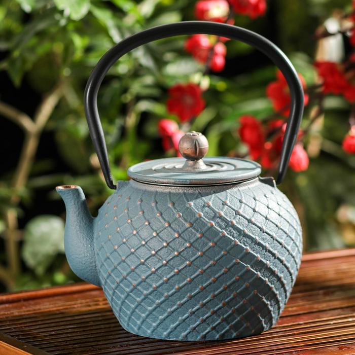 Чайник с ситом «Дондзи», 1,2 л, цвет синий
Чайник с ситом «Дондзи», 1,2 л, цвет синий