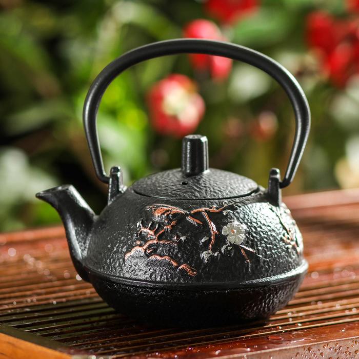 Чайник с ситом «Хана», 300 мл
Чайник с ситом «Хана», 300 мл