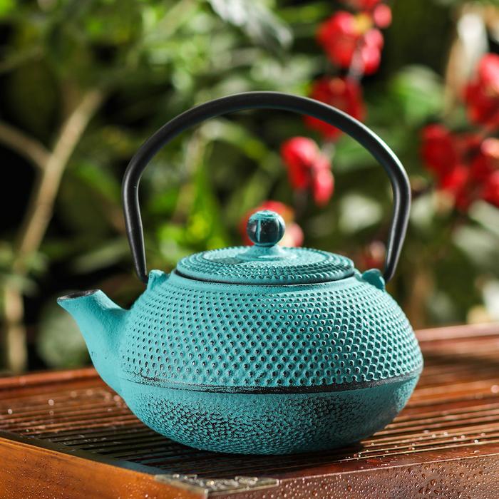 Чайник с ситом «Мадо», 600 мл, цвет синий
Чайник с ситом «Мадо», 600 мл, цвет синий