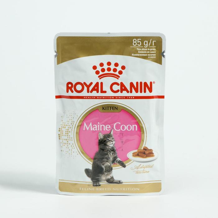 Влажный корм RC Kitten Maine Coon для крупных котят, 85 г
Влажный корм RC Kitten Maine Coon для крупных котят, 85 г
