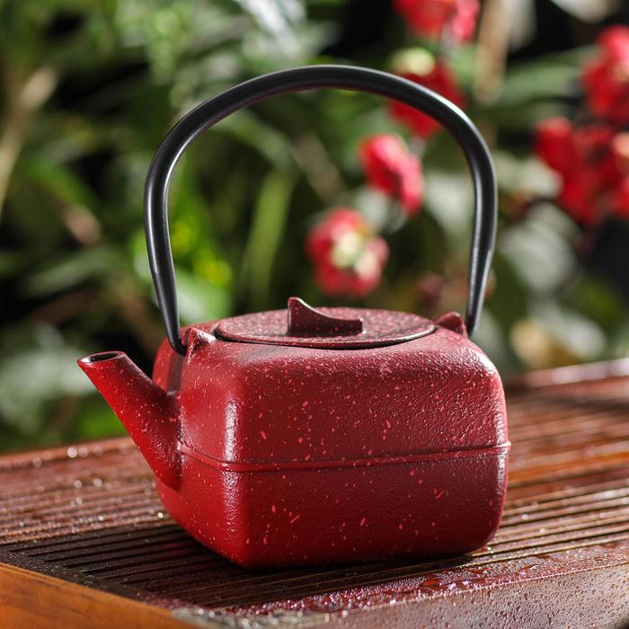 Чайник «Мрамор», 600 мл, с ситом, цвет красный
Чайник «Мрамор», 600 мл, с ситом, цвет красный