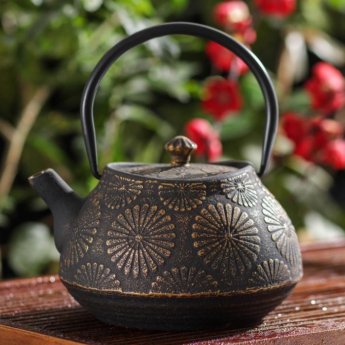 Чайник с ситом «Мори», 1,15 л, цвет чёрный
Чайник с ситом «Мори», 1,15 л, цвет чёрный