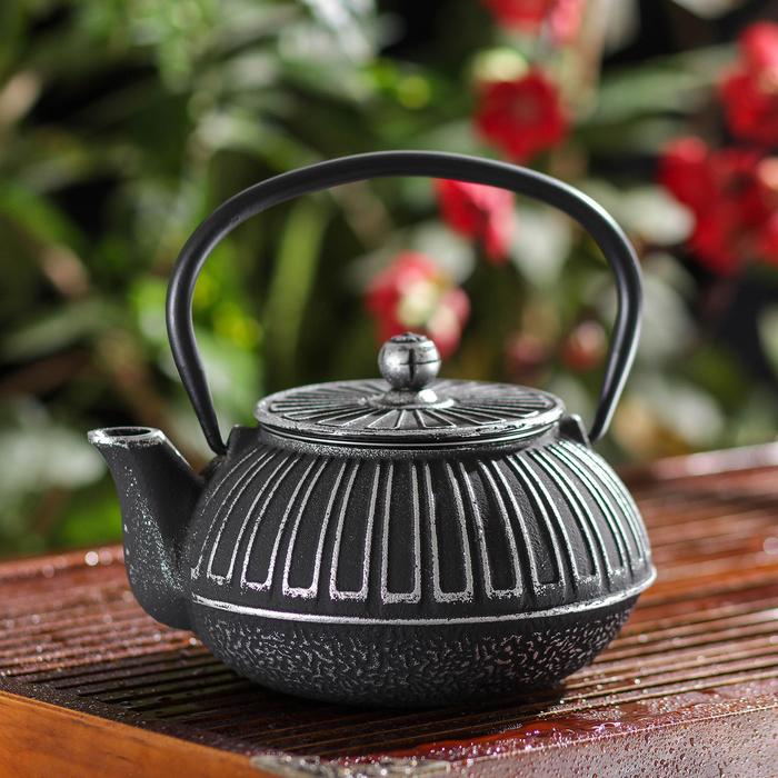 Чайник с ситом «Фэн», 700 мл, цвет чёрный
Чайник с ситом «Фэн», 700 мл, цвет чёрный