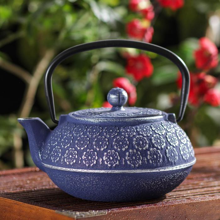 Чайник с ситом «Хана», 900 мл, цвет синий
Чайник с ситом «Хана», 900 мл, цвет синий