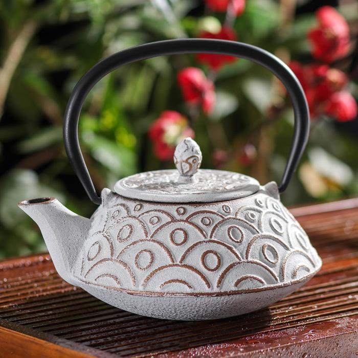 Чайник с ситом «Гинко», 800 мл, цвет белый
Чайник с ситом «Гинко», 800 мл, цвет белый