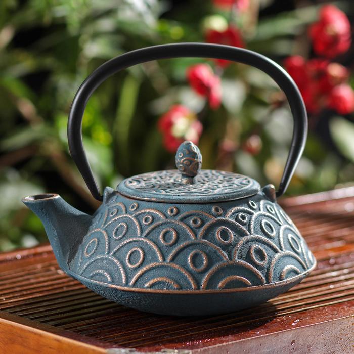 Чайник с ситом «Гинко», 800 мл, цвет синий
Чайник с ситом «Гинко», 800 мл, цвет синий