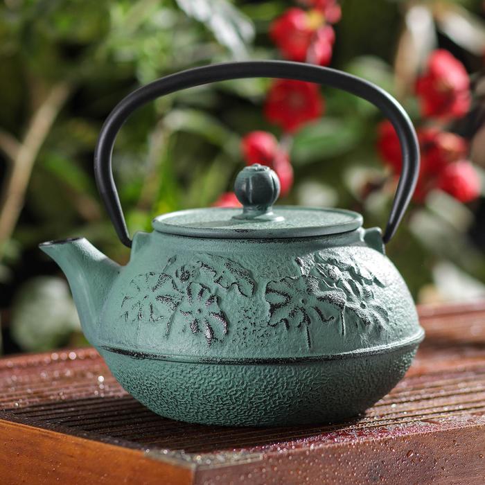 Чайник с ситом «Акеру», 900 мл
Чайник с ситом «Акеру», 900 мл