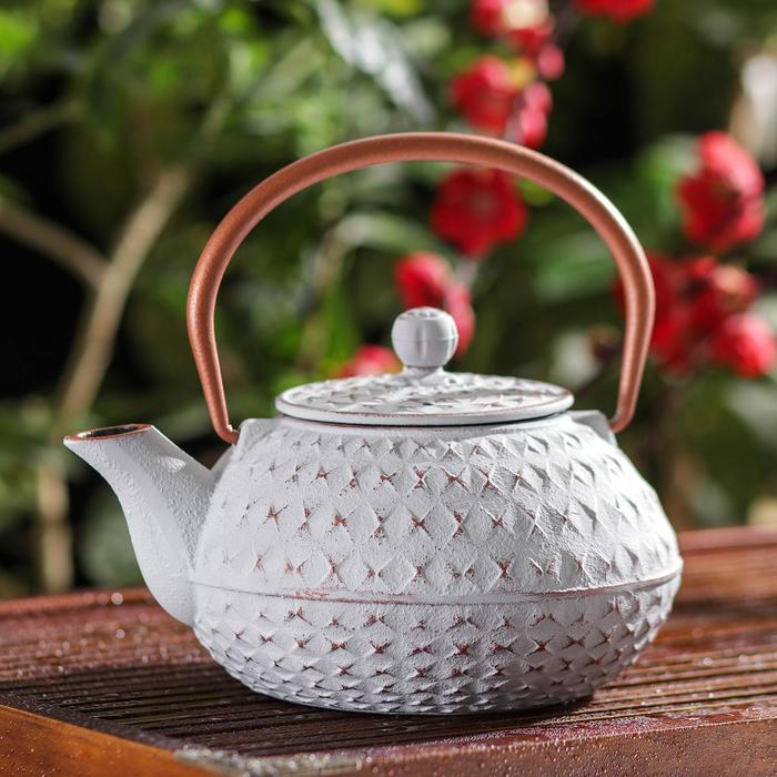 Чайник с ситом «Самуи», 900 мл
Чайник с ситом «Самуи», 900 мл