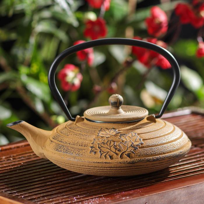 Чайник с ситом «Клен», 750 мл
Чайник с ситом «Клен», 750 мл