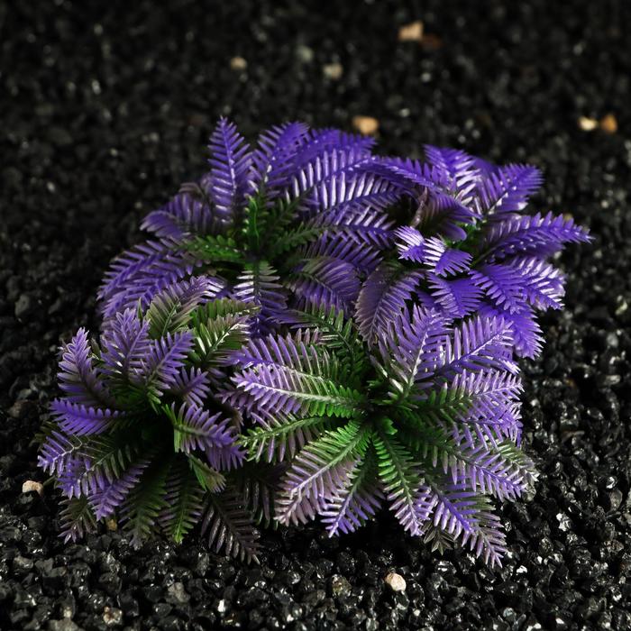 Растение искусственное аквариумное, 6 х 10 см
Растение искусственное аквариумное, 6 х 10 см