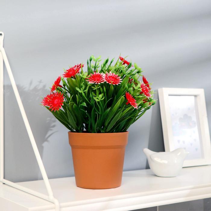 Бонсай "Остролистник с осокой" 10х20 см, микс
Бонсай "Остролистник с осокой" 10х20 см, микс