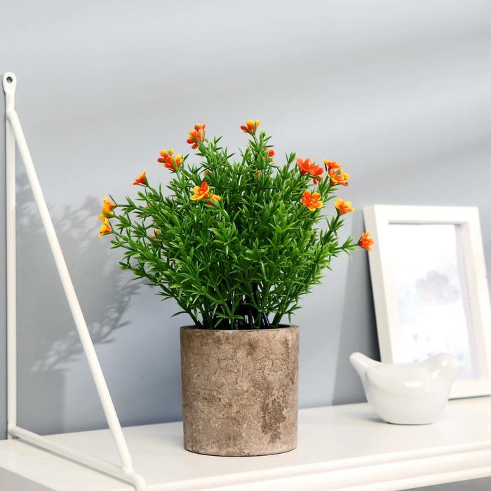 Бонсай "Лапчатка" 8х20 см, микс
Бонсай "Лапчатка" 8х20 см, микс