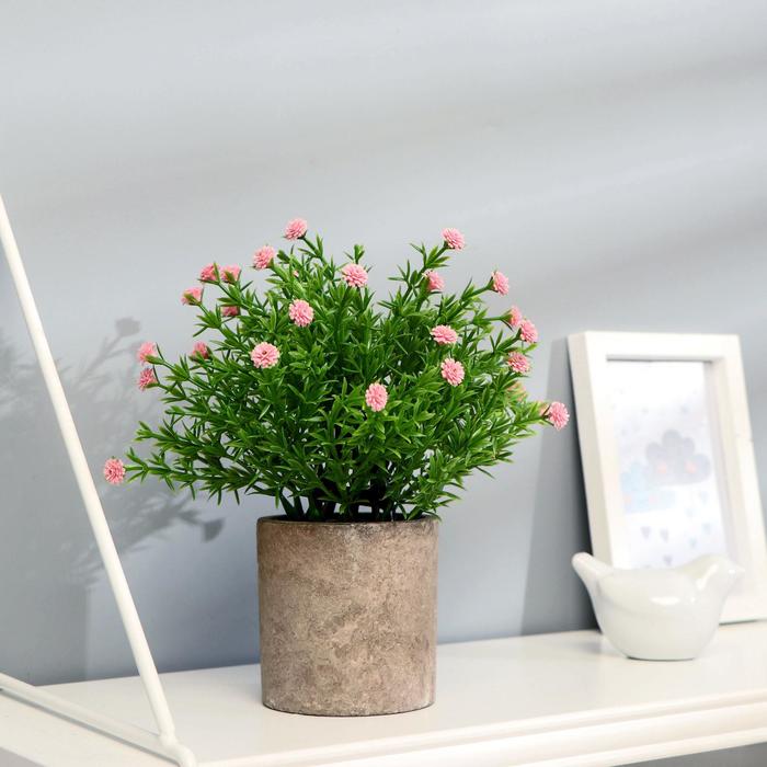 Бонсай "Бархатцы" 8х20 см, микс
Бонсай "Бархатцы" 8х20 см, микс