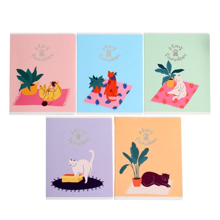 Тетрадь 48 листов в клетку "На позитиве", обложка мелованный картон, матовая ламинация, тиснение фольгой, блок офсет, МИКС
Тетрадь 48 листов в клетку "На позитиве", обложка мелованный картон, матовая ламинация, тиснение фольгой, блок офсет, МИКС