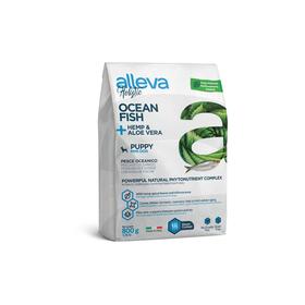 Сухой корм Alleva Holistic mini для щенков, океаническая рыба/конопля/алое вера, 800 г
Сухой корм Alleva Holistic mini для щенков, океаническая рыба/конопля/алое вера, 800 г
