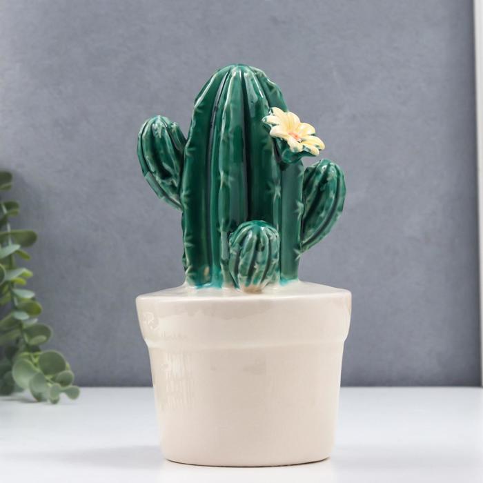 Сувенир керамика "Кактус в белом горшке - Трихоцереус с цветком" 23х11х11 см
Сувенир керамика "Кактус в белом горшке - Трихоцереус с цветком" 23х11х11 см