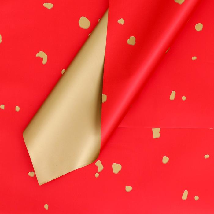 Пленка двухсторонняя, красная, 58 х 58 см
Пленка двухсторонняя, красная, 58 х 58 см