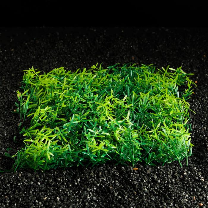 Коврик растений для аквариума, 23 х 25 х 5 см
Коврик растений для аквариума, 23 х 25 х 5 см