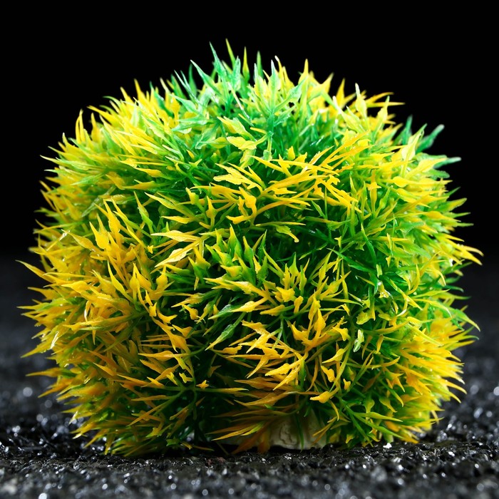 Растение - шар для аквариума, 13 см, желто-зеленое 
Растение - шар для аквариума, 13 см, желто-зеленое