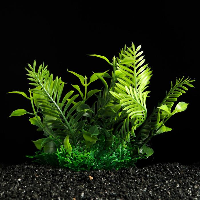 Растение искусственное аквариумное, 15 см
Растение искусственное аквариумное, 15 см