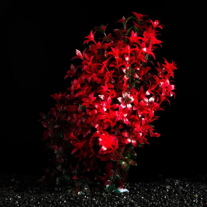 Растение искусственное аквариумное, 15 см
Растение искусственное аквариумное, 15 см