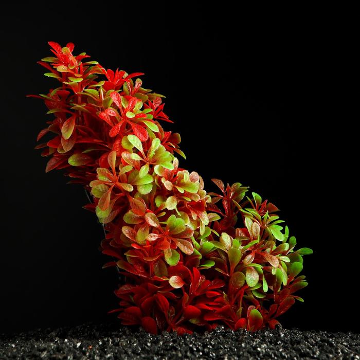 Растение искусственное аквариумное, 15 см
Растение искусственное аквариумное, 15 см