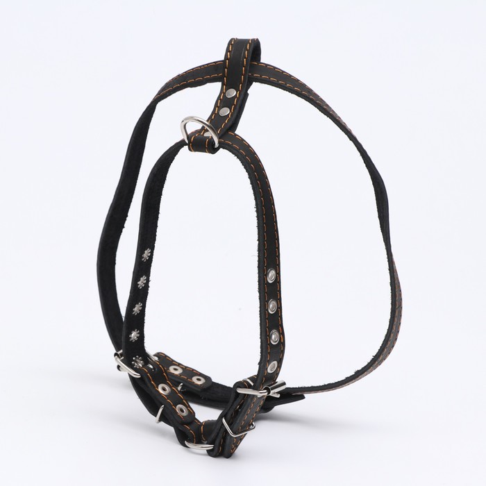 Шлейка кожаная "Прогулочная", 2 см, ОШ 46-58 см, ОГ 78-85 см, черная
Шлейка кожаная "Прогулочная", 2 см, ОШ 46-58 см, ОГ 78-85 см, черная